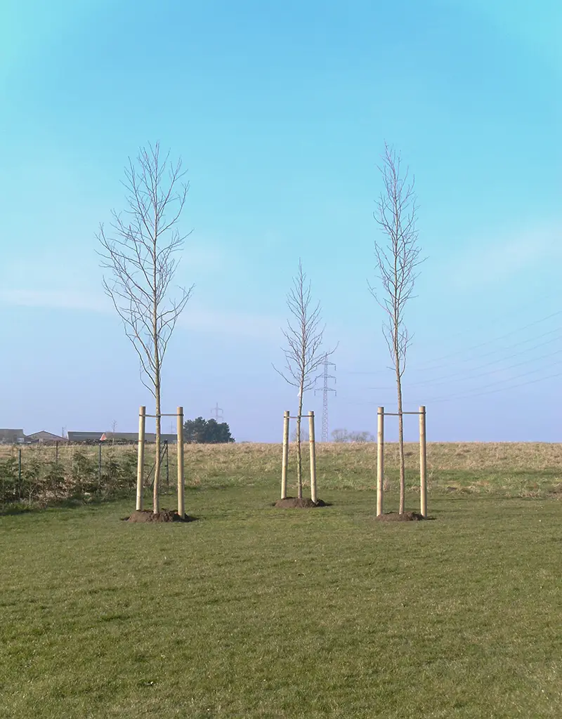 Création de jardin