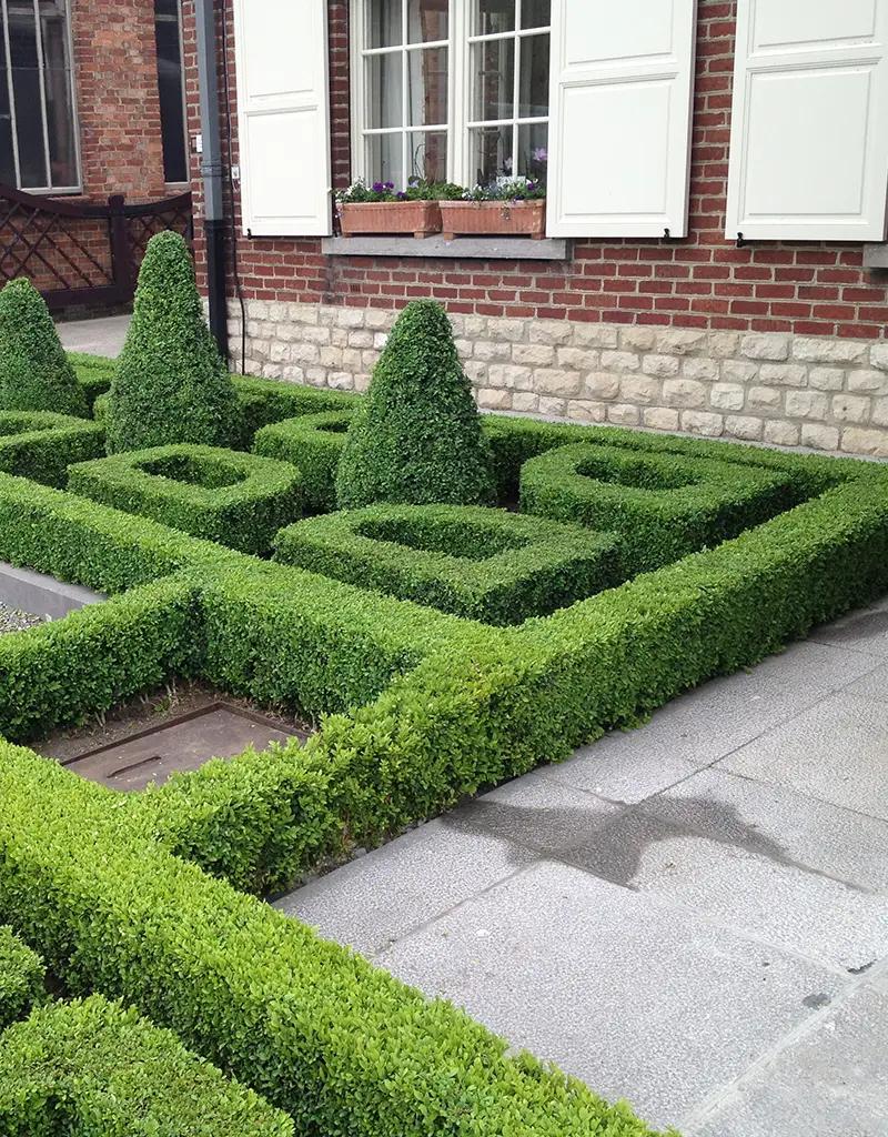 Entretien de jardin