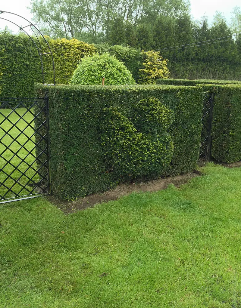 Entretien de jardin