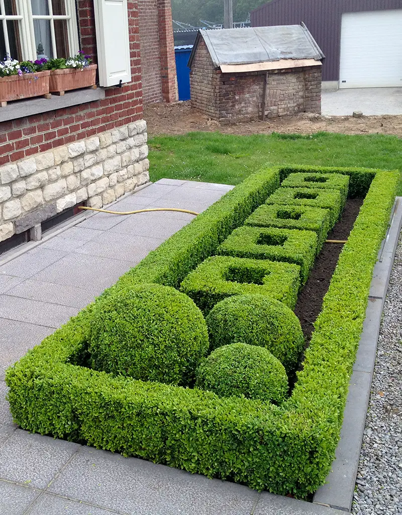 Entretien de jardin