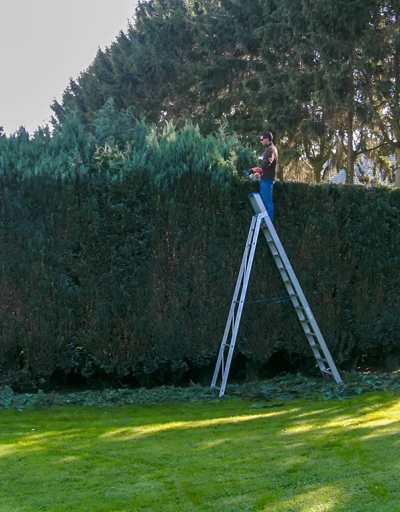 Entretien de jardin